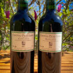 Unikátní víno - Château Piche-Leibre – Bordeaux ( Margaux ) – 2016 - 13% vol. - 75cl - Image 2