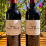 Château Castel viaud – Lalande-de-Pomerol – 2018 - 13,5% vol. - 75cl - Image 2