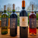La Griffe – Gaillac - 12,5% vol. - Image 2